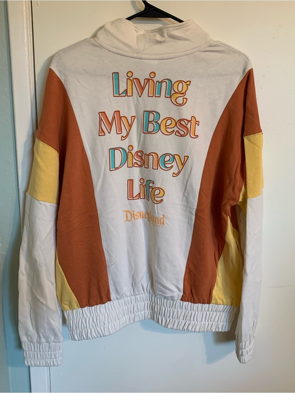 Living My Best Disney Life Quarter Zip Sweater